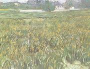 Vincent Van Gogh Wheat Field at Auvers with White House (nn04) oil painting on canvas